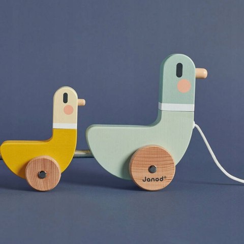 Drewniane Kaczki do Ciągnięcia Sweet Cocoon 12 m+, Janod J04051