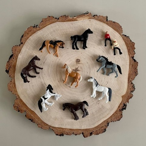 Figurki Konie z Jeźdźcami Zestaw Figurek w Tubie Safari Ltd.
