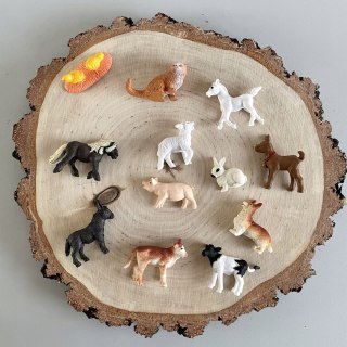 Figurki Małe Zwierzątka na Wsi. Zestaw Figurek w Tubie Safari Ltd.