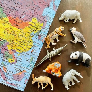 Figurki Zwierzęta Azji Zestaw Figurek w Tubie Safari Ltd.