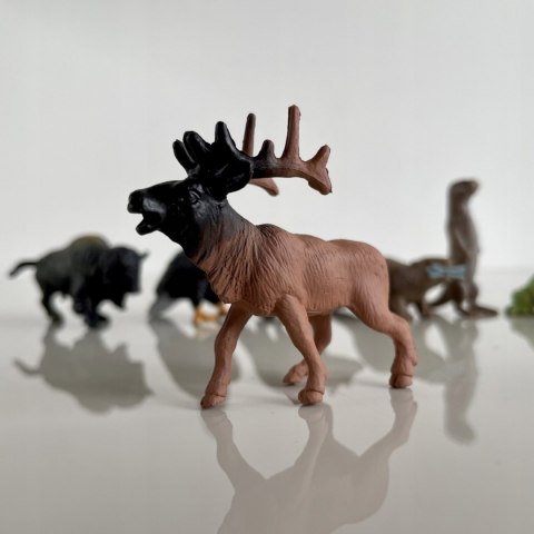 Figurki Zwierzęta Leśne Zestaw Figurek w Tubie Safari Ltd.