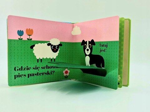 Gdzie się schował traktor? Akademia mądrego dziecka Harperkids