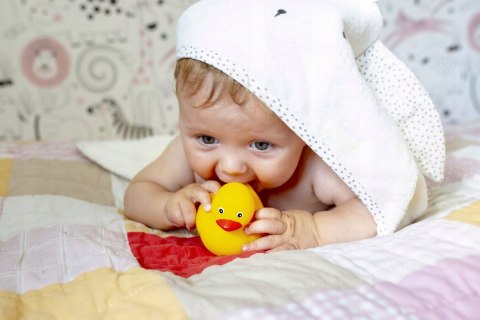 Kaczuszka do kąpieli bez dziurki 3 szt Tullo