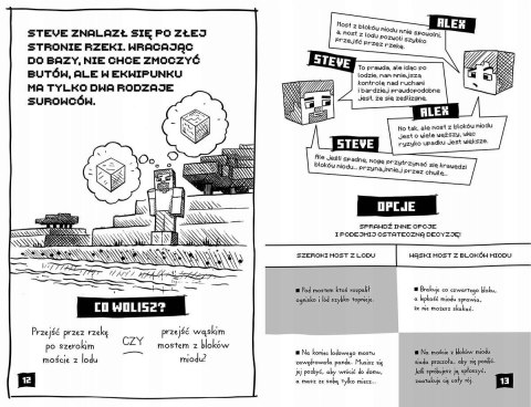 Minecraft. Would you rather? Edycja po polsku polska Harperkids