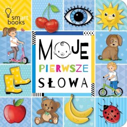 Pakiet Moje Pierwsze Słowa Zwierzęta Akademia Mądrego Dziecka
