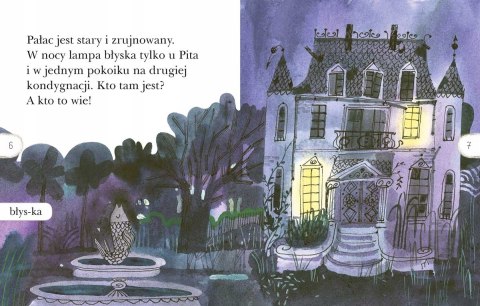 Pan Pit i jego kwiatek. Czytam sobie Poziom 2 Harperkids