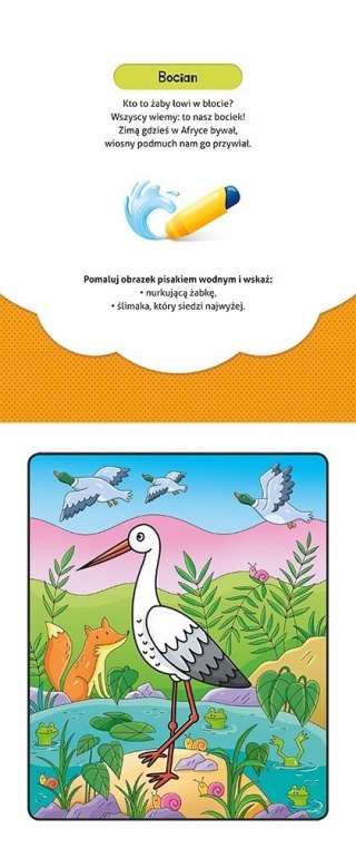 Pokoloruj i znajdź na Łące Malowanka Wodna + Pisak Aksjomat