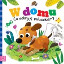 Ruchoma Książeczka W domu Co odkryję paluszkiem? Aksjomat
