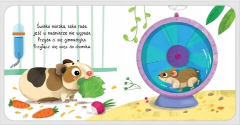 Ruchoma Książeczka W domu Co odkryję paluszkiem? Aksjomat