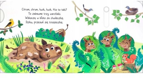 Ruchome Obrazki w Lesie Co odkryję paluszkiem? Aksjomat