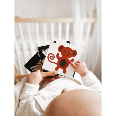 Widzę Kolory Karty Kontrastowe Malucha 3 m+ Kapitan Nauka