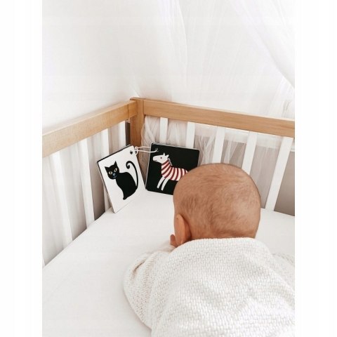 Widzę Kolory Karty Kontrastowe Malucha 3 m+ Kapitan Nauka