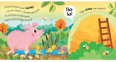 A kuku! Na wsi Filcowe klapki i lusterko Książeczka Sensoryczna Aksjomat