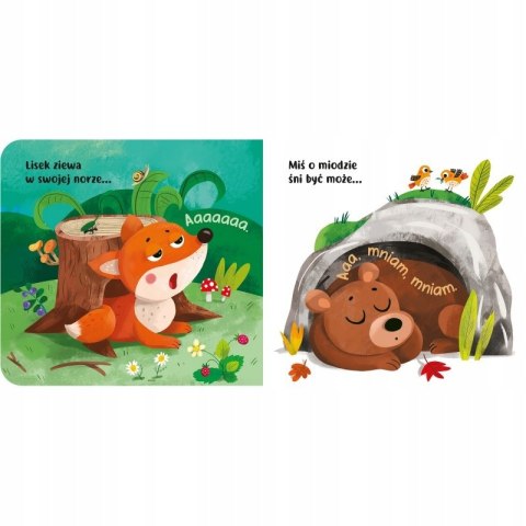 Kto już śpi? Książeczka naszego maluszka Aksjomat