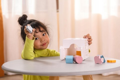 VIGA PolarB Sorter Edukacyjny Muzyczne Klocki 18m+