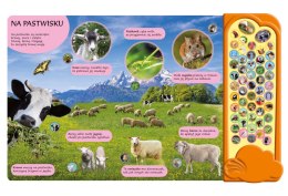 50 dźwięków Zwierzęta na Wsi książka dźwiękowa Zwierzątka Wieś Farma