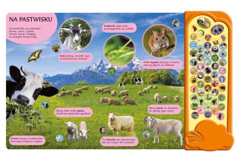 50 dźwięków Zwierzęta na Wsi książka dźwiękowa Zwierzątka Wieś Farma