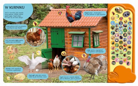 50 dźwięków Zwierzęta na Wsi książka dźwiękowa Zwierzątka Wieś Farma