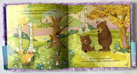 Dobranoc Misiu Czytanka przytulanka Opowieść na Dobranoc