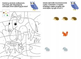 Łamigłówki z sówką dla Przedszkolaka Przedszkolak potrafi