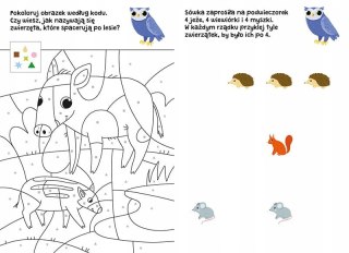Łamigłówki z sówką dla Przedszkolaka Przedszkolak potrafi