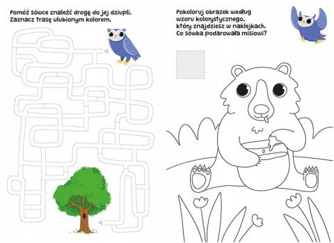 Łamigłówki z sówką dla Przedszkolaka Przedszkolak potrafi
