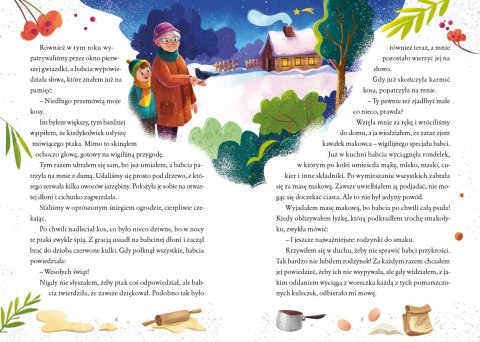 Makowiec z Rodzynkami Książeczka Świąteczna Historia Opowieść Święta