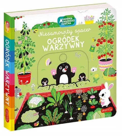 Ogródek warzywny Niesamowity spacer Akademia Mądrego Dziecka