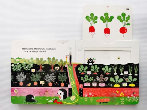Ogródek warzywny Niesamowity spacer Akademia Mądrego Dziecka