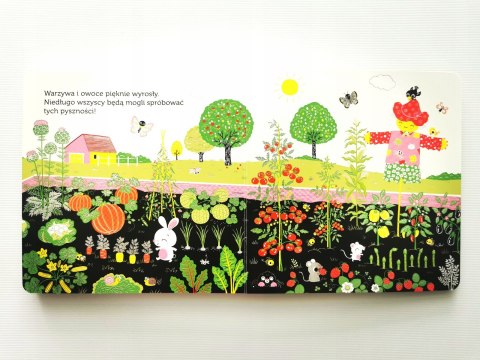 Ogródek warzywny Niesamowity spacer Akademia Mądrego Dziecka