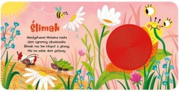 Poznaj i dotknij Zwierzątka Zwierzaki Książeczka sensoryczna Dotykowa Aksjo