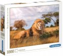 Puzzle 1000 elementów 39479 Król Lew The King Clementoni