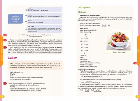 Repetytorium na 100 % Szkoła Podstawowa Chemia 2025 Greg