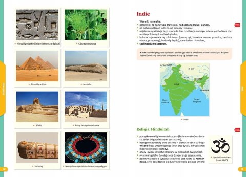 Repetytorium na 100 % Szkoła Podstawowa Historia kl. 4-6 2025 Greg