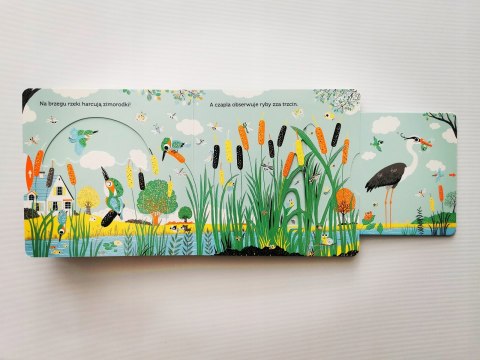 Rzeka Niesamowity spacer Akademia Mądrego Dziecka Książeczka ruchoma