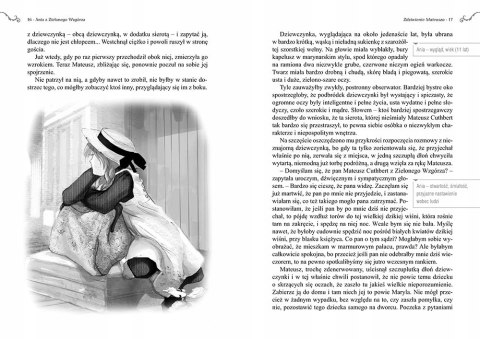 Ania z Zielonego Wzgórza Lektura z Opracowaniem Greg