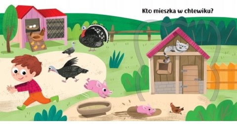 Co kryją okienka? Na wsi Książka z okienkami Wieś