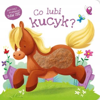 Książeczka Sensoryczna Co lubi kucyk? Dotykaj Poznawaj Baw się Zielona Sowa