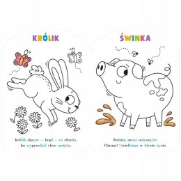 Malowanki Rymowanki z Pieskiem Czytam Koloruję Aksjomat