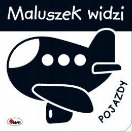 Maluszek Widzi Pojazdy Książeczka Kontrastowa