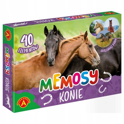 Memory Memosy Konie Alexander Pamięć Memo