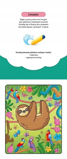 Pokoloruj i znajdź w dżungli Malowanka z pisakiem Aksjomat