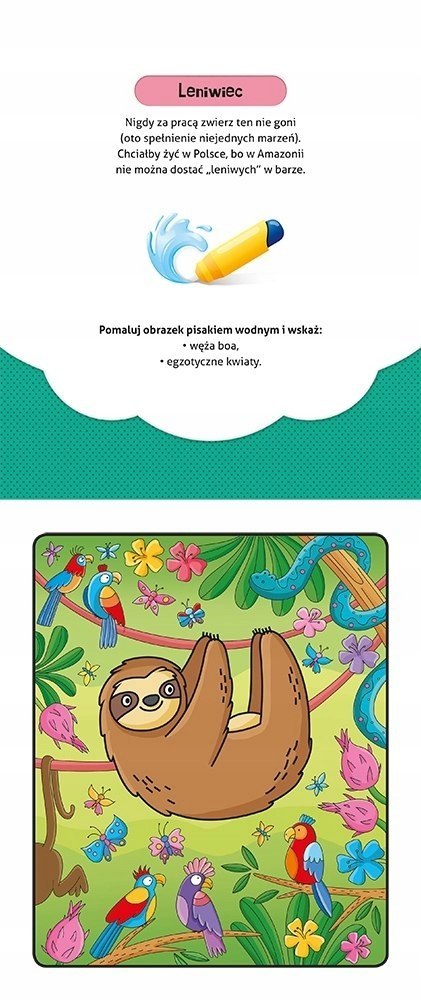 Pokoloruj i znajdź w dżungli Malowanka z pisakiem Aksjomat
