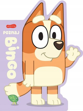 Poznaj Bingo Bluey Książeczka Blue Harperkids