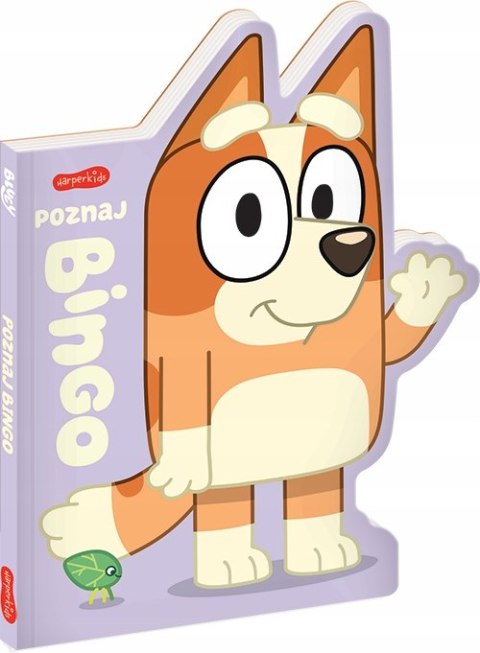 Poznaj Bingo Bluey Książeczka Blue Harperkids