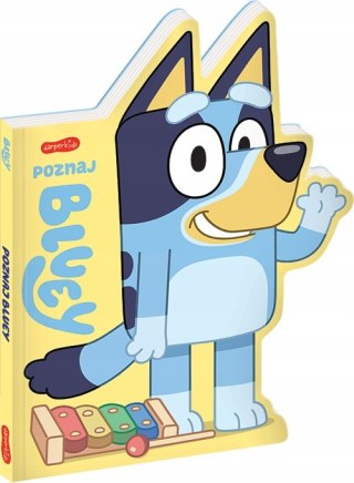 Poznaj Bluey Książeczka Blue Harperkids