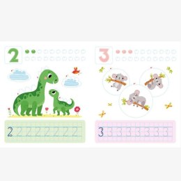 Poznaję cyferki i liczę elementy Ścieralny pisak Aksjomat