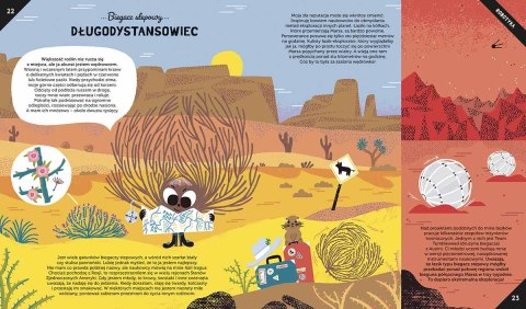 Wynalazki Roślin Akademia Mądrego Dziecka