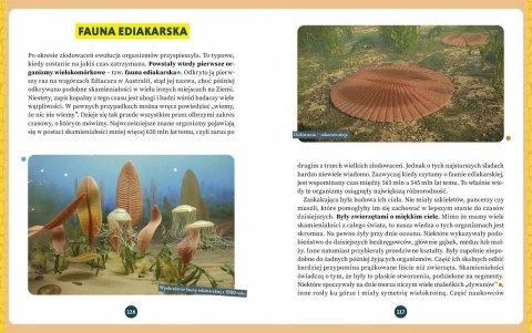 Zanim pojawiły się dinozaury Niesamowite dzieje