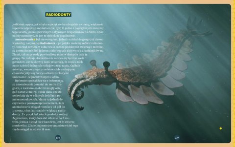 Zanim pojawiły się dinozaury Niesamowite dzieje